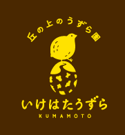 �r�[�����牀